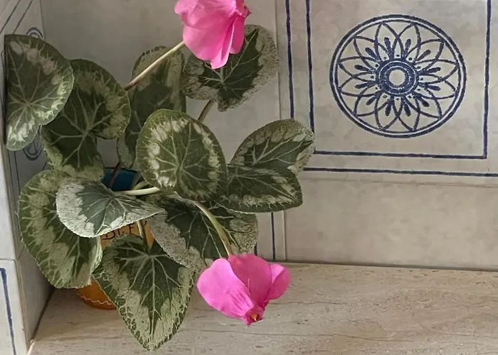 La Dell'aviatore 3* Alghero